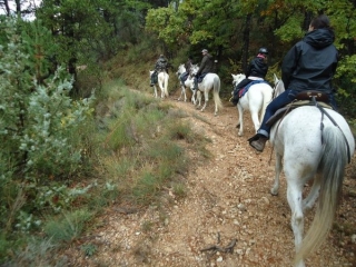  a caballo en la naturaleza 